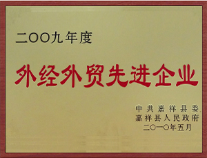 外經(jīng)外貿先進企業(yè).jpg